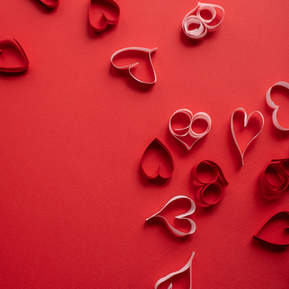 Image hover effect image